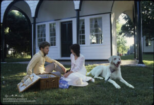 Digital selfie of Bentley (the dog) enjoying a picnic at Sharon Temple National Historic Site 